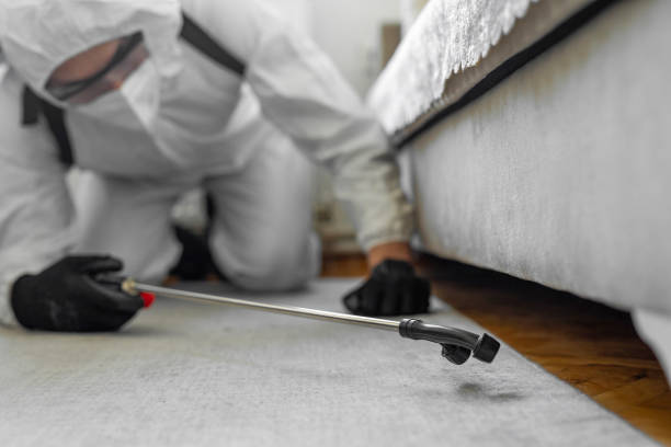 Professional Termite Control technician working in Deltona, FL