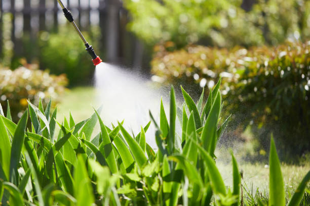 24/7 Emergency Termite Control experts in Deltona, FL