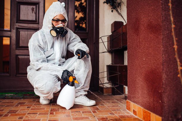 Reliable Termite Control contractor in Deltona, FL by Nex Pest Control